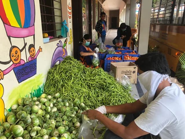 Volunteers sorting vegetables and rice for family food packages
