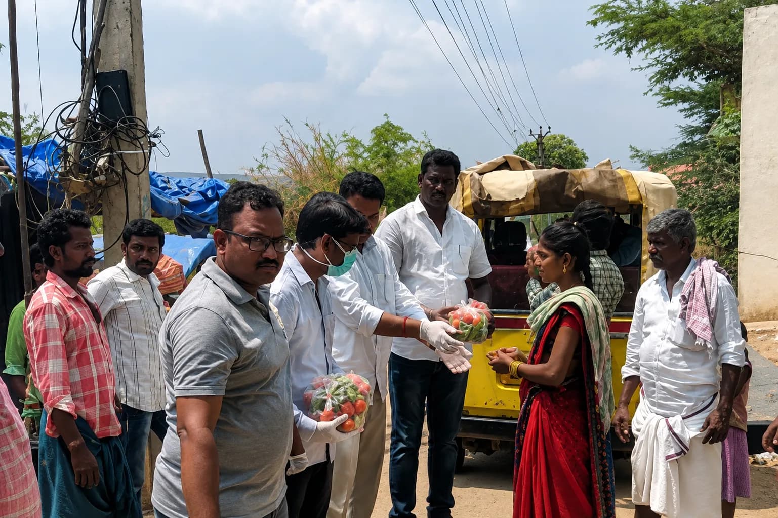 Vegetables for families in lockdown